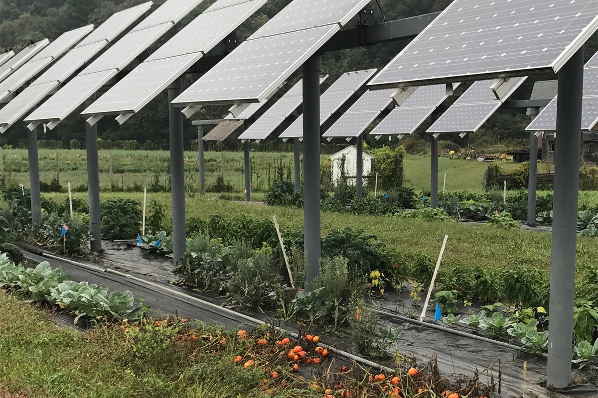 Which solar panel is best for agriculture?