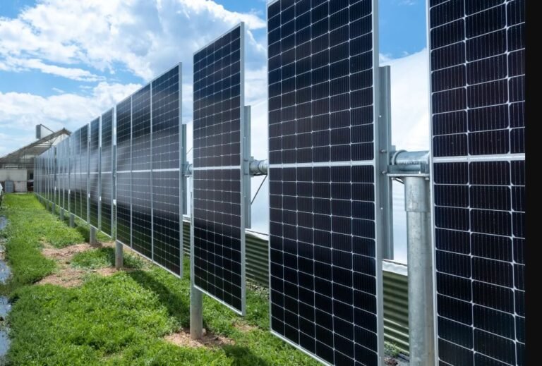 Solar Fence: Integrating Photovoltaic Systems for Advanced Agricultural Protection